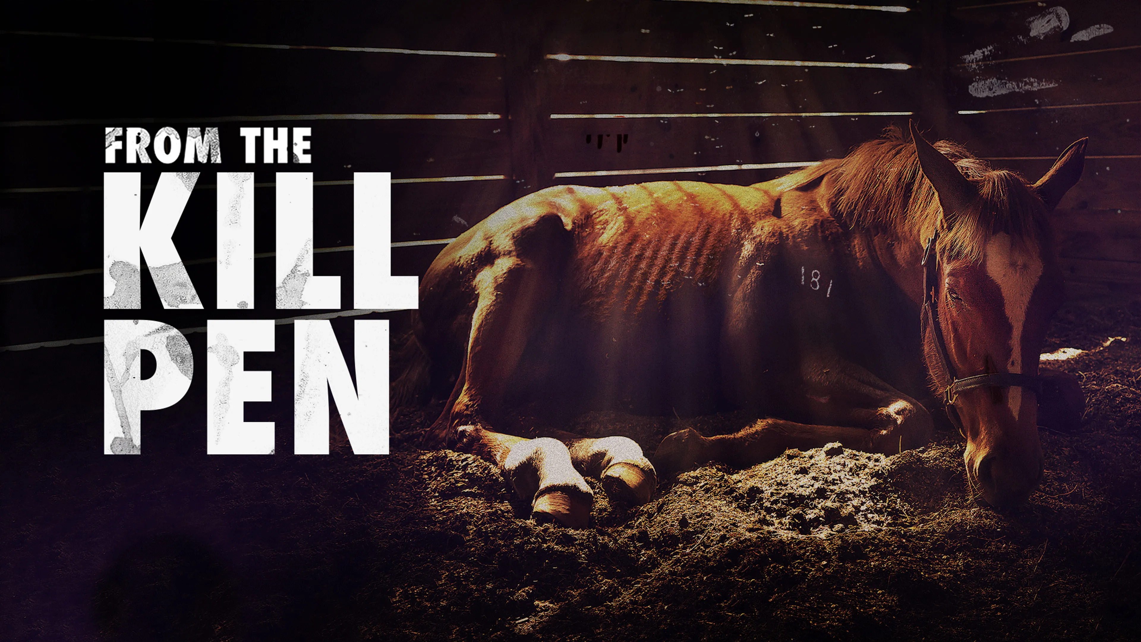 From the Kill Pen poster